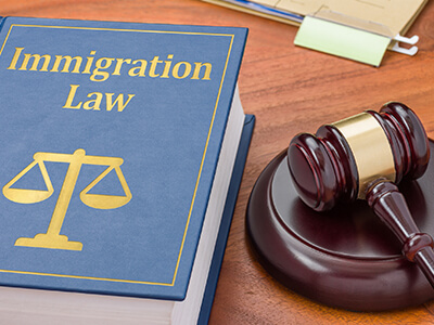 View All About Immigration Law