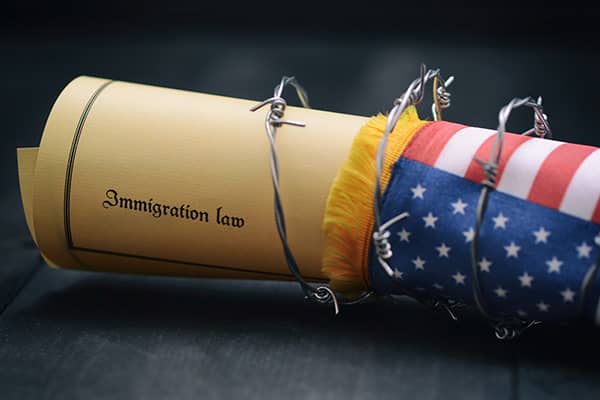 Deportation Law Cases